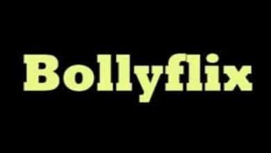 bollyflix com