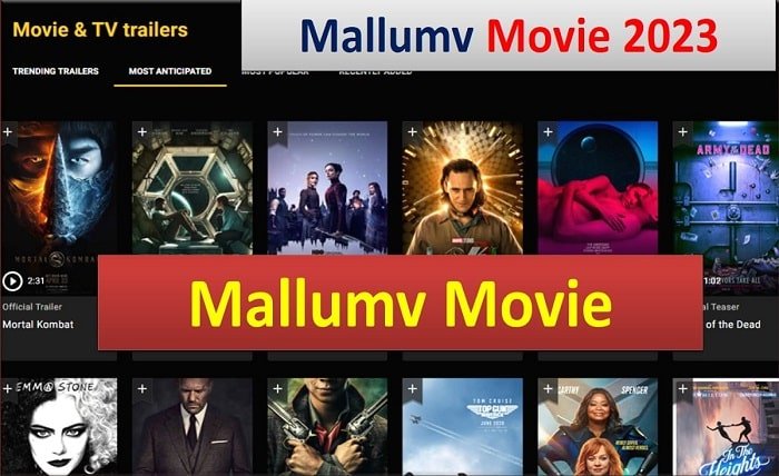 mallumv dvdplay